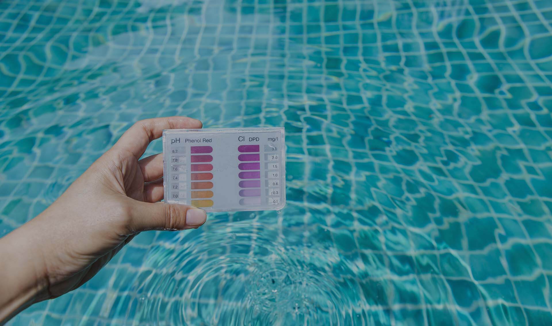 clearwater pool care service slide